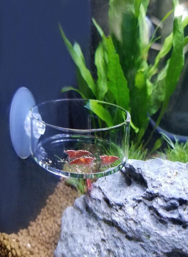 Dannisly Aquarium Glass Feeder Shrimp Feeding Dish Round Clear Fish Tank Food Tray Container Prevent Food Spilling with Suction Cup, 65mm - Image 5